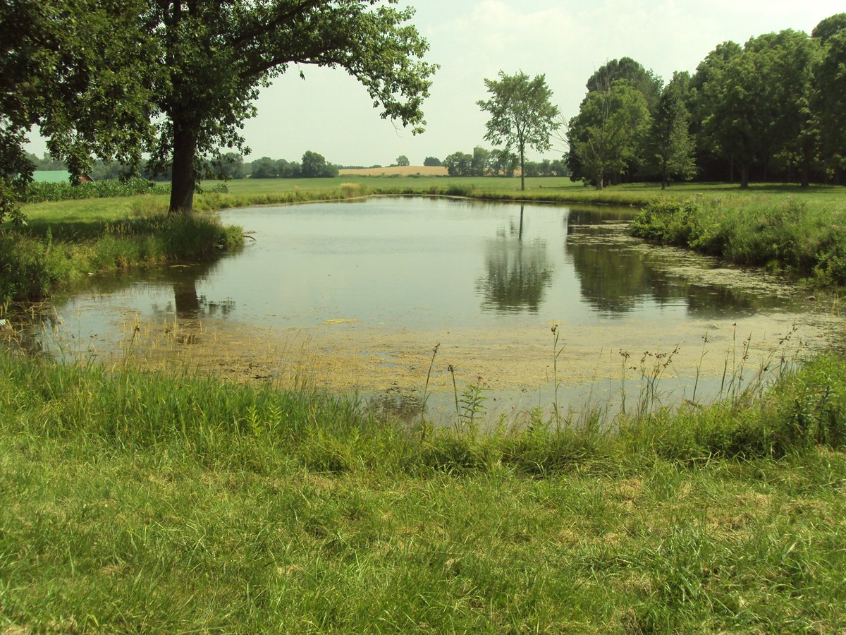 Property photo 11 - 160 Acres Offered in 6 Tracts